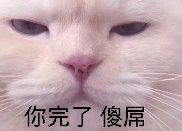 你完了 傻屌（猫猫表情包）