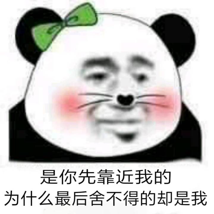 是你先靠近我的为什么最后舍不得的却是我 - 熊猫头撩妹撩汉情话