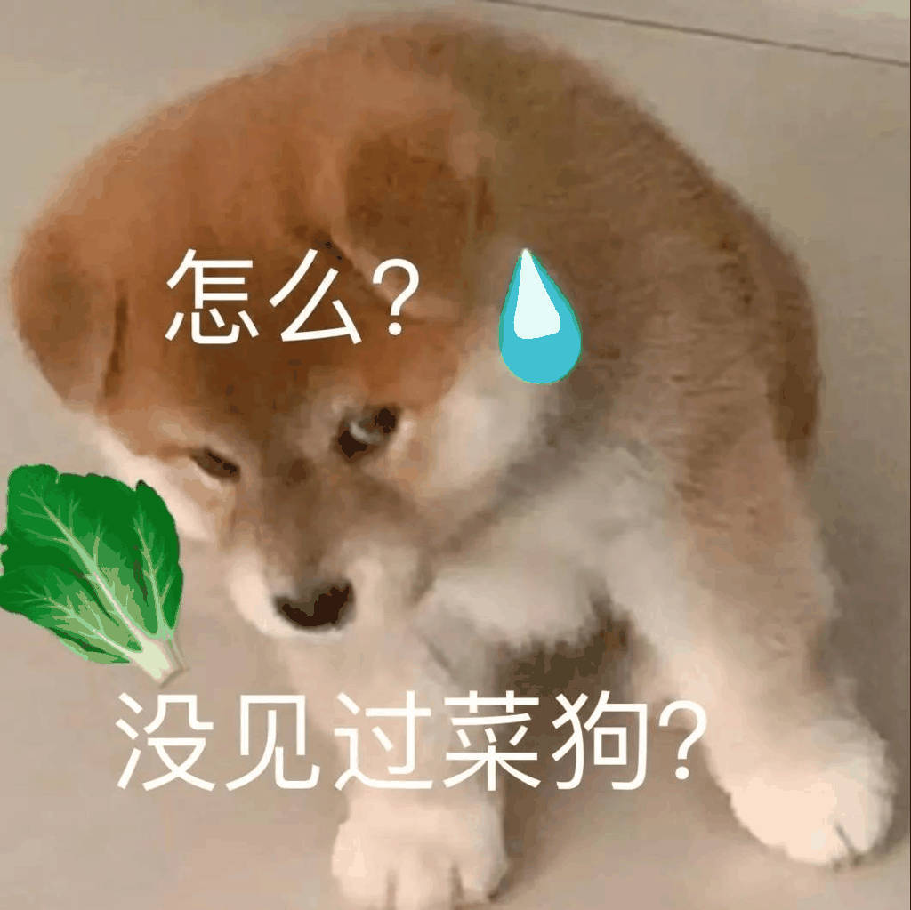 怎么?没见过菜狗?