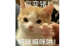 你变猪！嘛咪嘛咪哄！