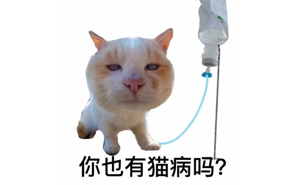 你也有猫病吗？