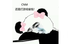 CNM 还是打游戏省钱! - 还是打游戏省钱