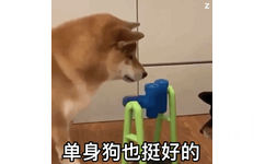 单身狗也挺好的（柴犬表情包）