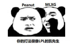 PeanutMLXG你的打法很像LPL的凯先生 - RNG 牛逼