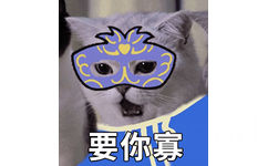 要你寡（猫咪要你管）