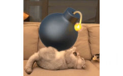 猫咪盘炸弹 - 万物皆可盘猫咪动态表情包