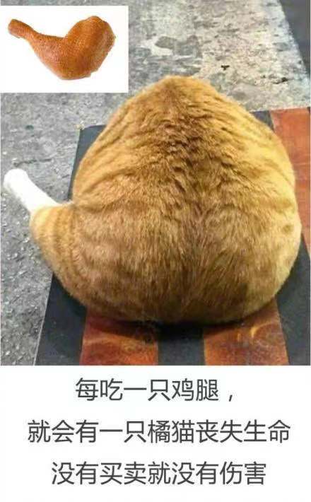 每吃一只鸡腿,就会有一只橘猫丧失生命没有买卖就没有伤害