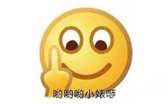 哟哟哟小婊 - emoji 竖中指斗图表情包