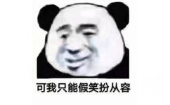 可我只能假笑扮从容