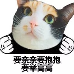 要亲亲要抱抱要举高高 - 猫脸熊猫人表情包