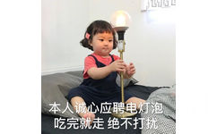 本人诚心应聘电灯泡吃完就走绝不打扰