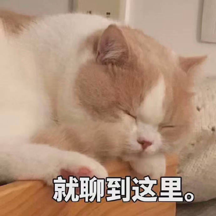 就聊到这里 - 一只超可爱的小猫咪表情包