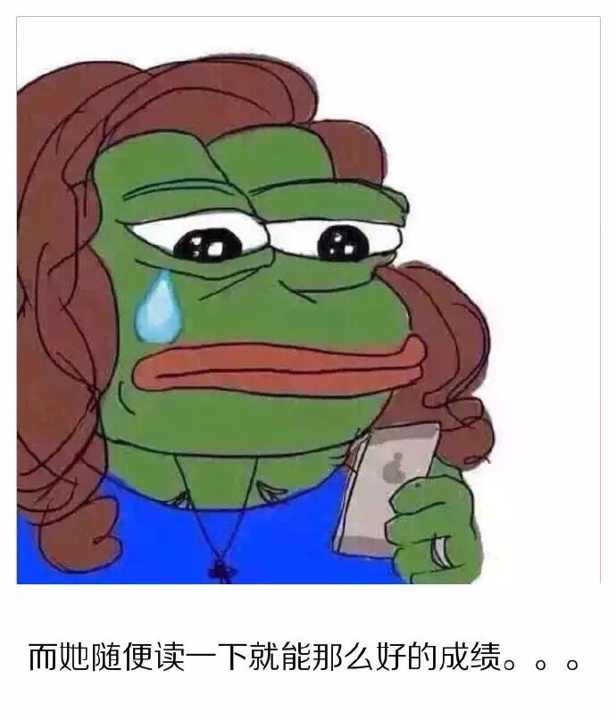 而她随便读一下就能那么好的成绩。。。 - 伤心到变种 (sadfrog)