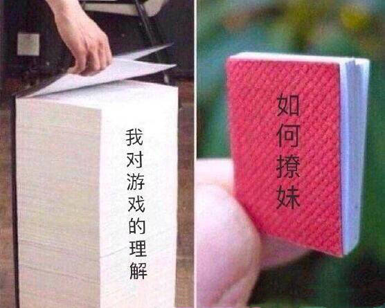 我对游戏的理解 vs 如何撩妹