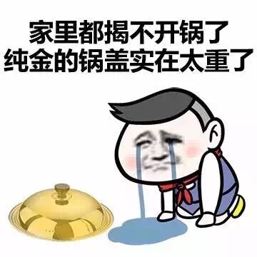 家里都揭不开锅了 纯金的锅盖实在太重了 - 这个我不太擅长 等我问问思聪