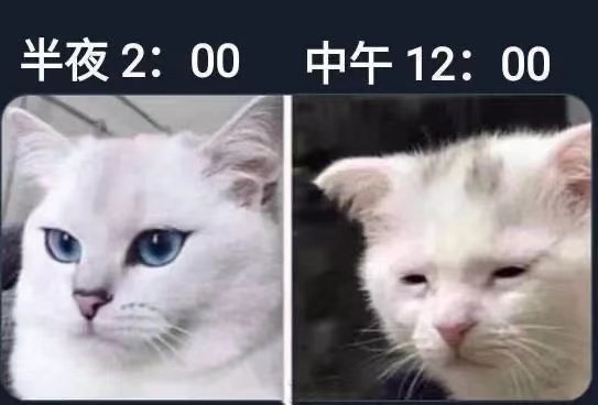 半夜2:00中午12:00