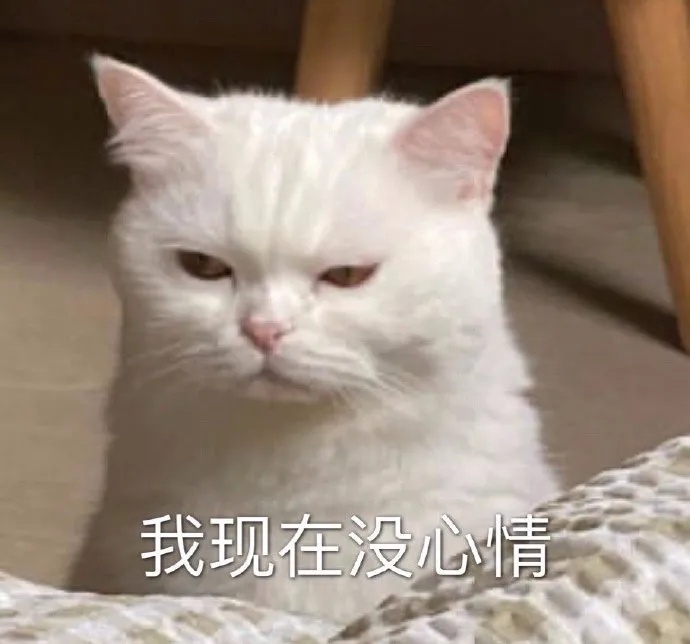 我现在没心情(猫咪表情包)