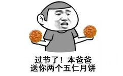 过节了！本爸爸送你两个五仁月饼！