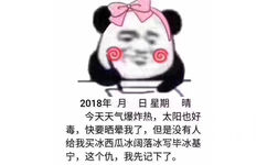 2018年月日星期晴今天天气爆炸热,太阳也好毒,快要晒晕我了,但是没有人给我买冰西瓜冰阔落冰写毕冰基宁,这个仇,我先记下了。 - 熊猫头写日记记仇表情包