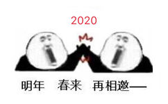 2020年，明年春来再相邀 - 难忘今宵，今宵难忘