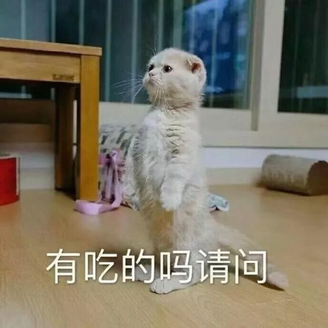 有吃的吗请问(猫咪)