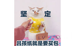 坚定吕孩纸就是要买包 - 一组可爱猫咪表情包