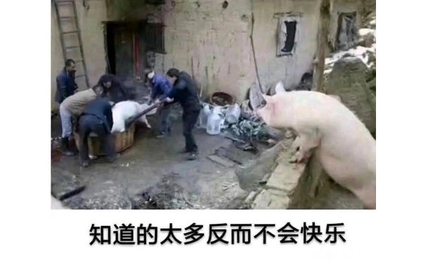 知道的太多反而不会快乐