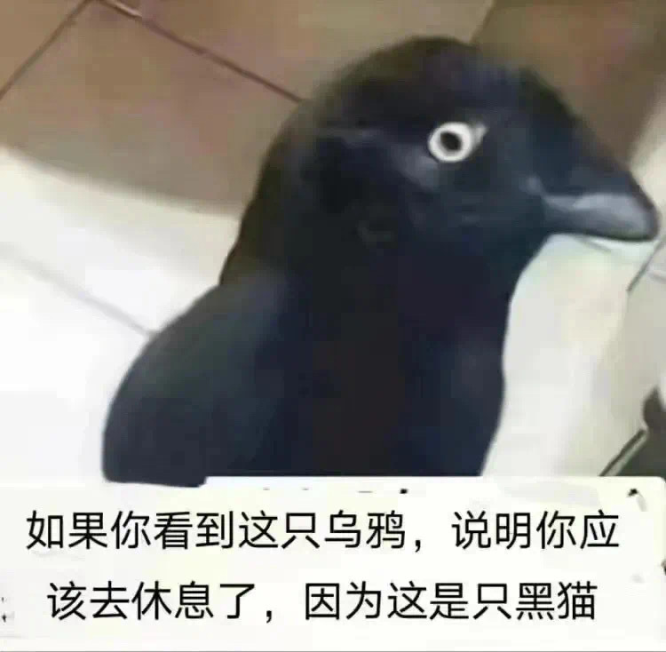 如果你看到这只乌鸦,说明你应该去休息了,因为这是只黑猫