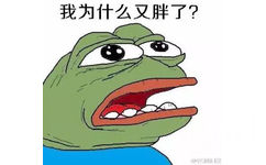 我为什么又胖了？ - 我为什么是个女人？（frog）