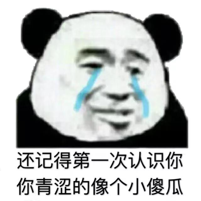 还记得第一次认识你，你青涩的像个小傻瓜