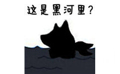 这是黑河里? - 这合理吗 / 这河里吗表情包