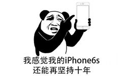 我感觉我的 iPhone6还能再坚持十年