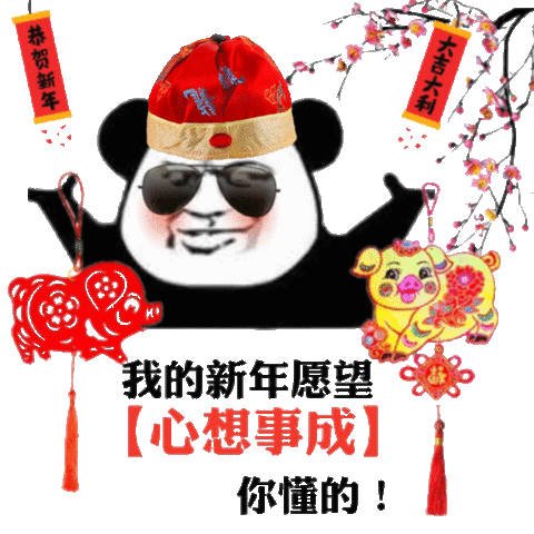 恭贺新年大吉大利我的新年愿【心想事成】你懂的(熊猫头新年表情包)