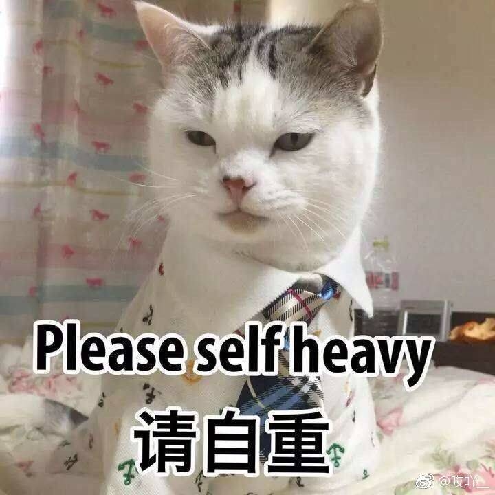 请自重（please self heavy）