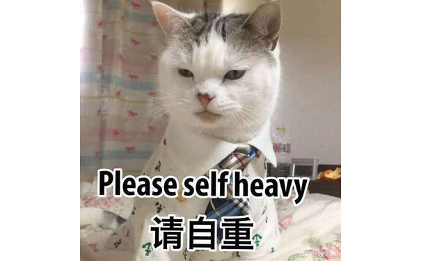 请自重（please self heavy）