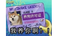 MiLKSHAKE LiCENSE CLASS D 养狗许可证我养你啊!!