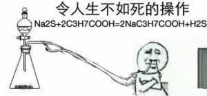 令人生不如死的操作Na2s+2C3H7COOH=2NAC3H7COOH+H2S(化学表情包)