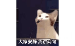 大家安静  我讲几句（POPO猫表情包） - POPO猫 GIF 动图表情包