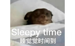 Sleepy time睡觉觉时间到