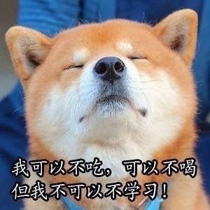 我可以不吃，可以不喝，但我不可以不学习！ - 做个爱学习的 doge