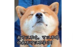 我可以不吃，可以不喝，但我不可以不学习！ - 做个爱学习的 doge