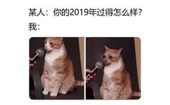 某人：你的2019年过得怎么样？我：。。。