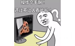 操作个毛线啊！还让不让人看片啦！ - 没人能模仿我的操作