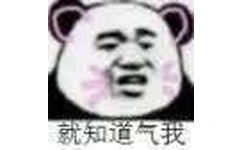 就知道气我 - 今天也是超级可爱的熊猫头 ​