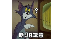 啥JB玩意？ - 《猫和老鼠》汤姆专场表情包