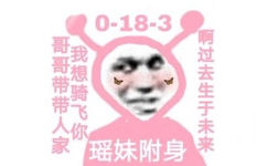 0-18-3哥哥带带人家我想骑飞你啊过去生于未来瑶妹附身 - 粉红小妹王者荣耀表情包