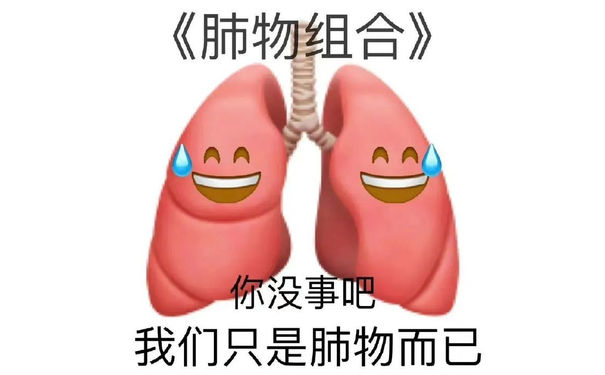 《肺物组合》你没事吧我们只是肺物而已