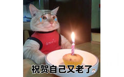 祝贺自己又老了 - 猫咪独自过生日系列