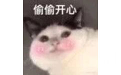 猫咪偷偷开心