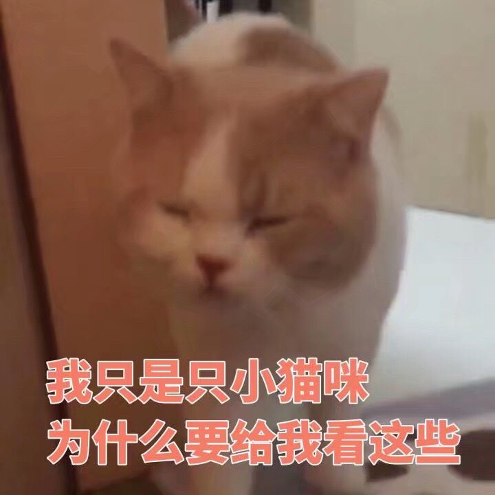 我只是只小猫咪，为什么要给我看这些